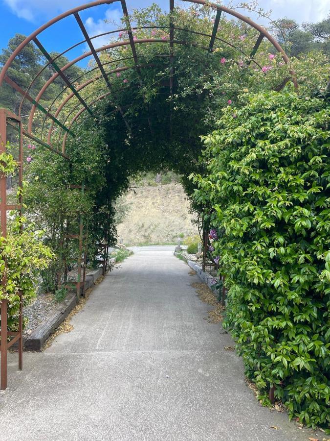 Chateau Catherine De Montgolfier B&B Et Gites ナルボンヌ エクステリア 写真