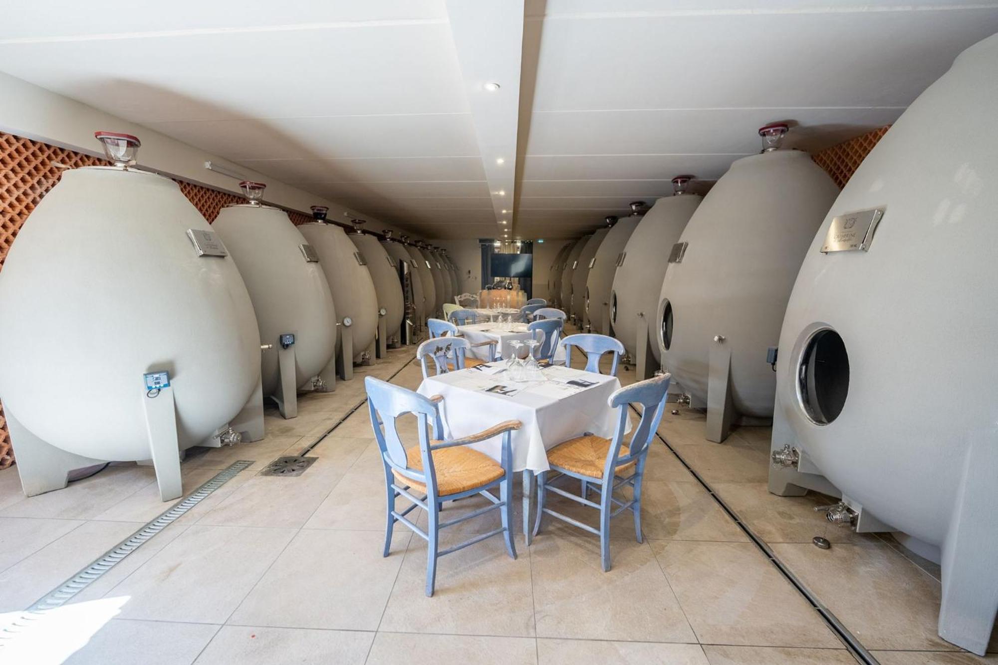 Chateau Catherine De Montgolfier B&B Et Gites ナルボンヌ エクステリア 写真